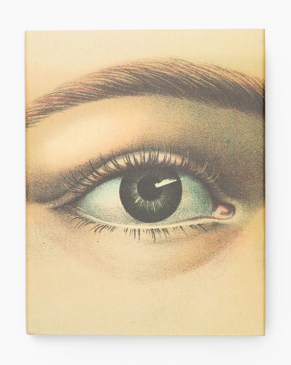 John Derian Picture Book | McGee & Co.