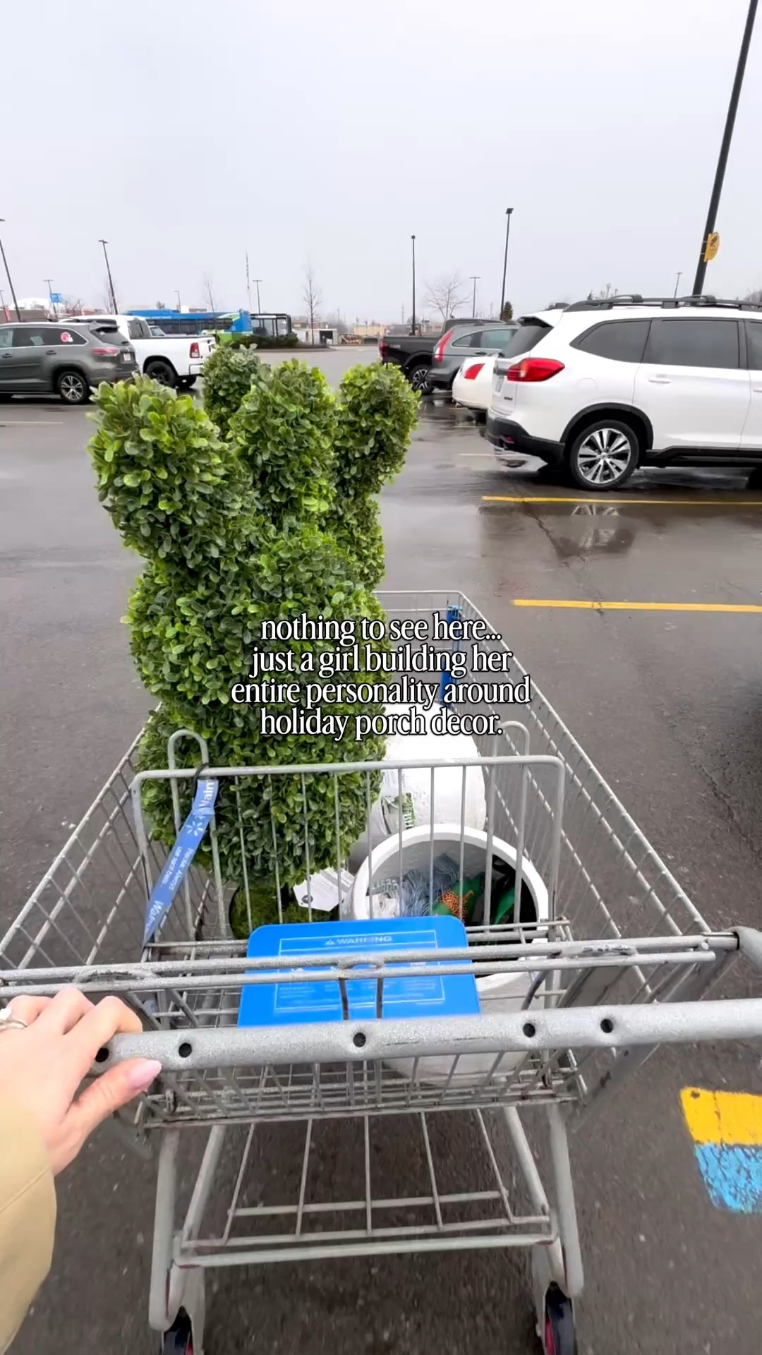 Bunny shaped topiary trees by My Texas House at Walmart! $40 each and such a great way to add whimsy to your spring porch.



#LTKmomlife #LTKHome #LTKSeasonal