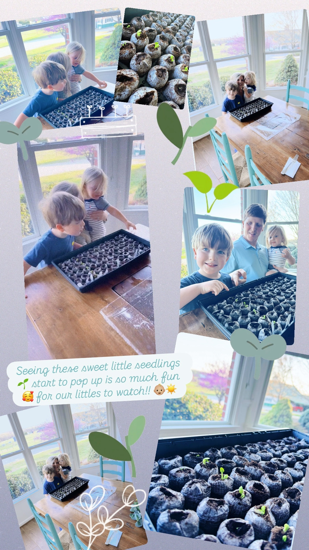 Seeing these sweet little seedlings 🌱 start to pop up is so much fun 🥰 for our littles to watch!! 👶🏼☀️