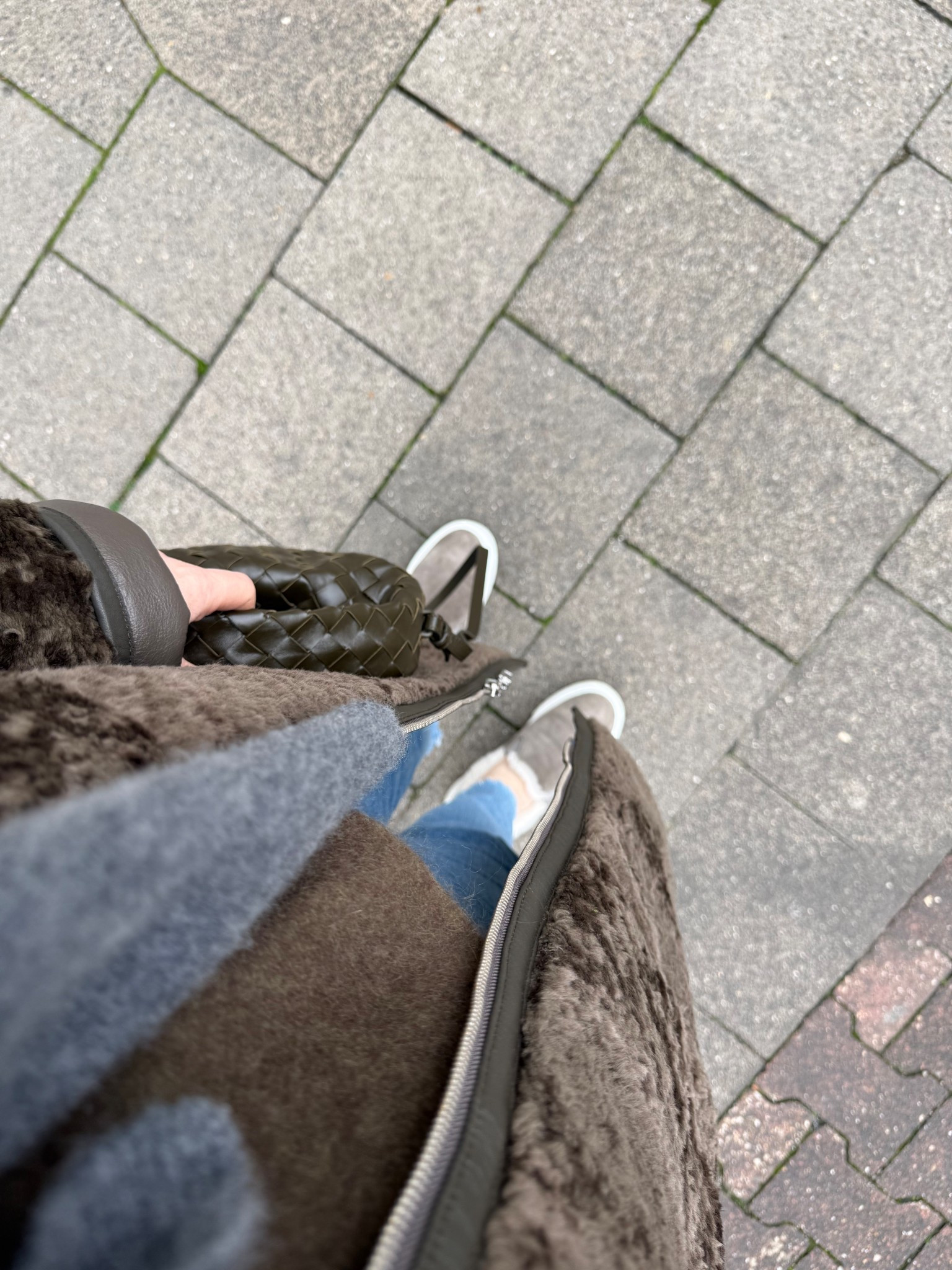 🌲