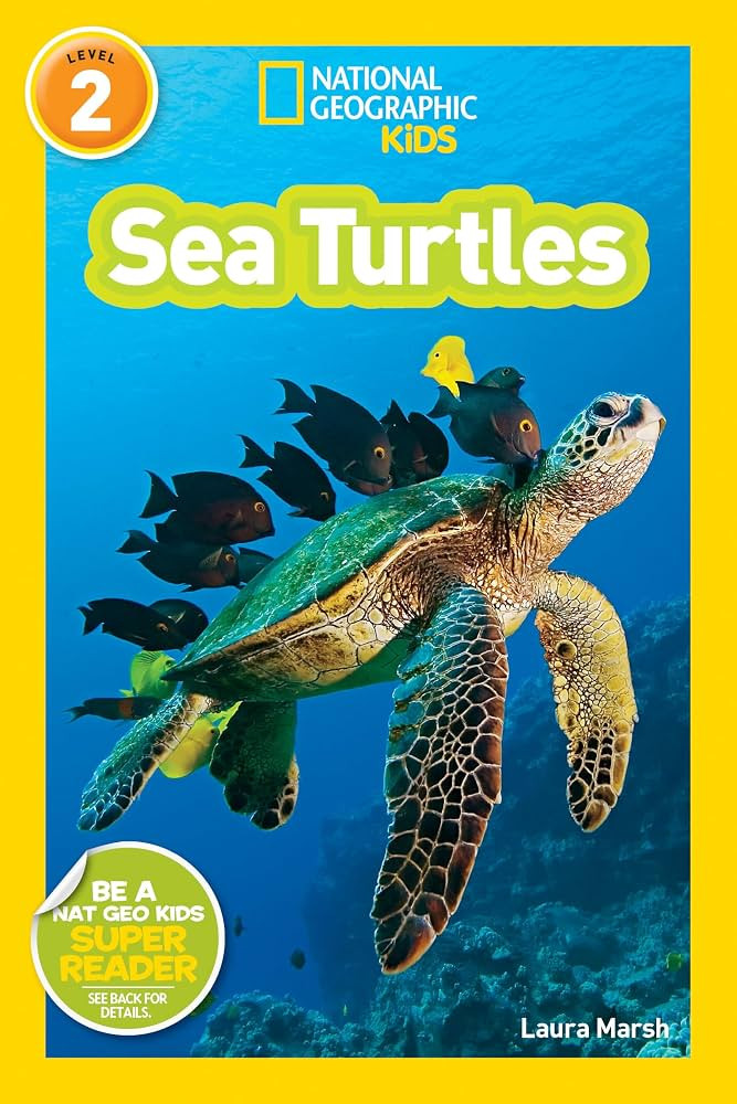 Sea Turtles (National Geographic Kids Readers, Level 2) | Amazon (US)