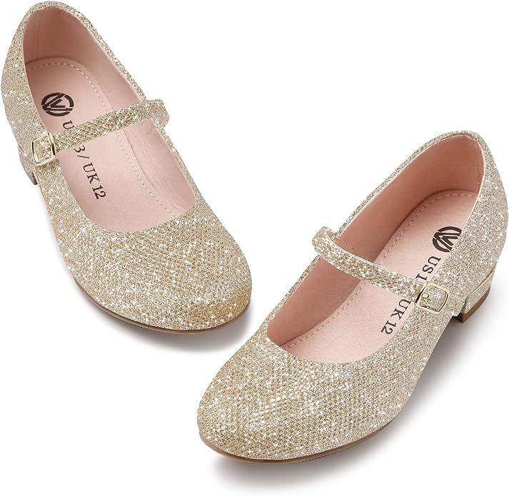 MIXIN Girls Mary Jane Dress Shoes - Princess Ballerina Flats Low Heels for School Party Wedding, ... | Amazon (US)