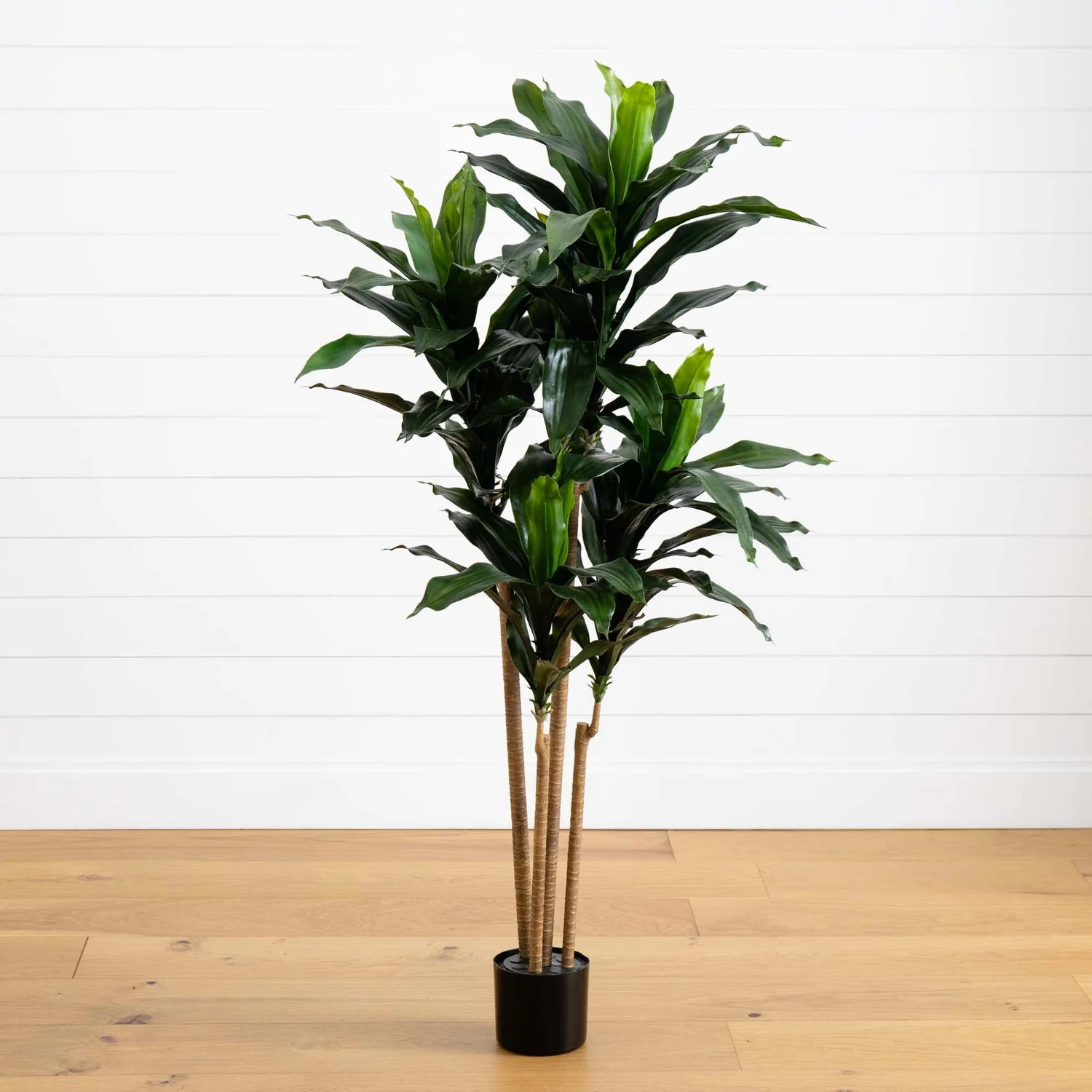 5’ Dracaena Plant UV Resistant (Indoor/Outdoor) | Nearly Natural | Nearly Natural