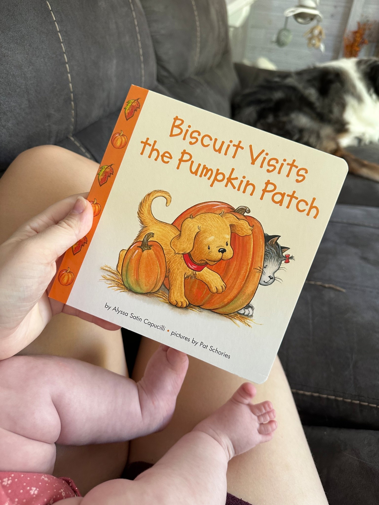Collecting seasonal books will be one of our traditions! This is our first “fall themed” book🍁 Takes me back to my childhood!
#LTKbook #LTKbabybook

#LTKSeasonal #LTKHalloween #LTKBaby