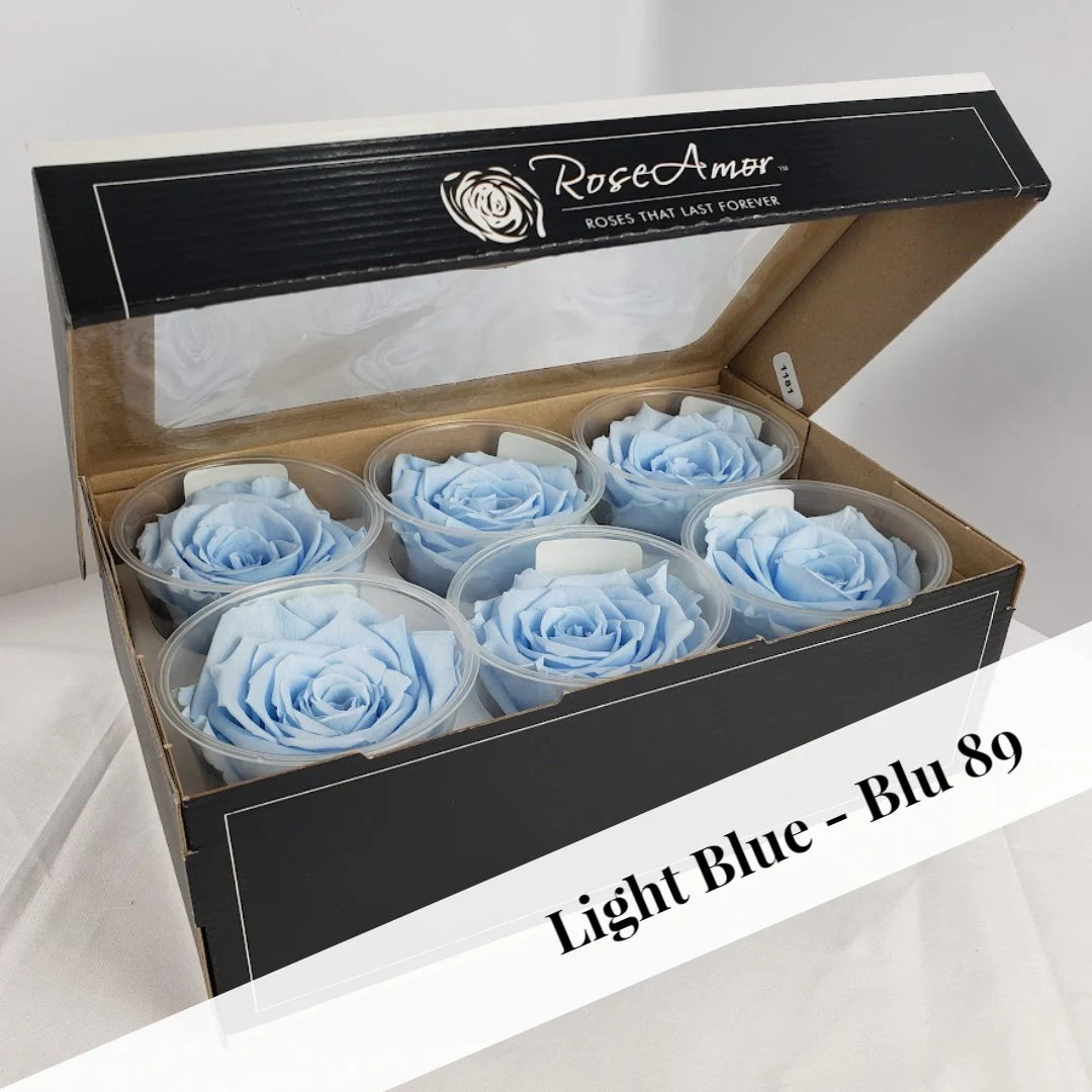 Preserved Rose Six Packs in Light Blue - Etsy | Etsy (US)