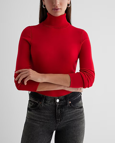 Silky Soft Fitted Turtleneck Sweater | Express
