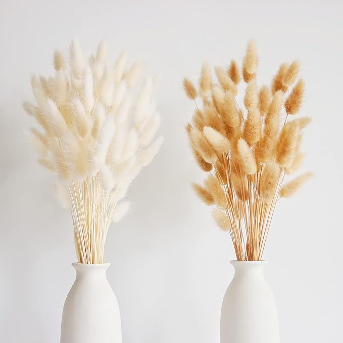 120 PCS Bunny Tails Dried Flowers, Dried Pampas Grass Bouquet, Boho Table Decor, White Pampas Gra... | Amazon (US)