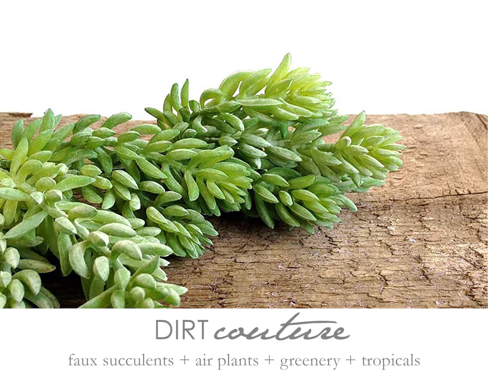 2 sizes, Artificial succulents, sedum, faux succulent, stonecrop, fake succulent, sedum reflexum | Etsy (US)