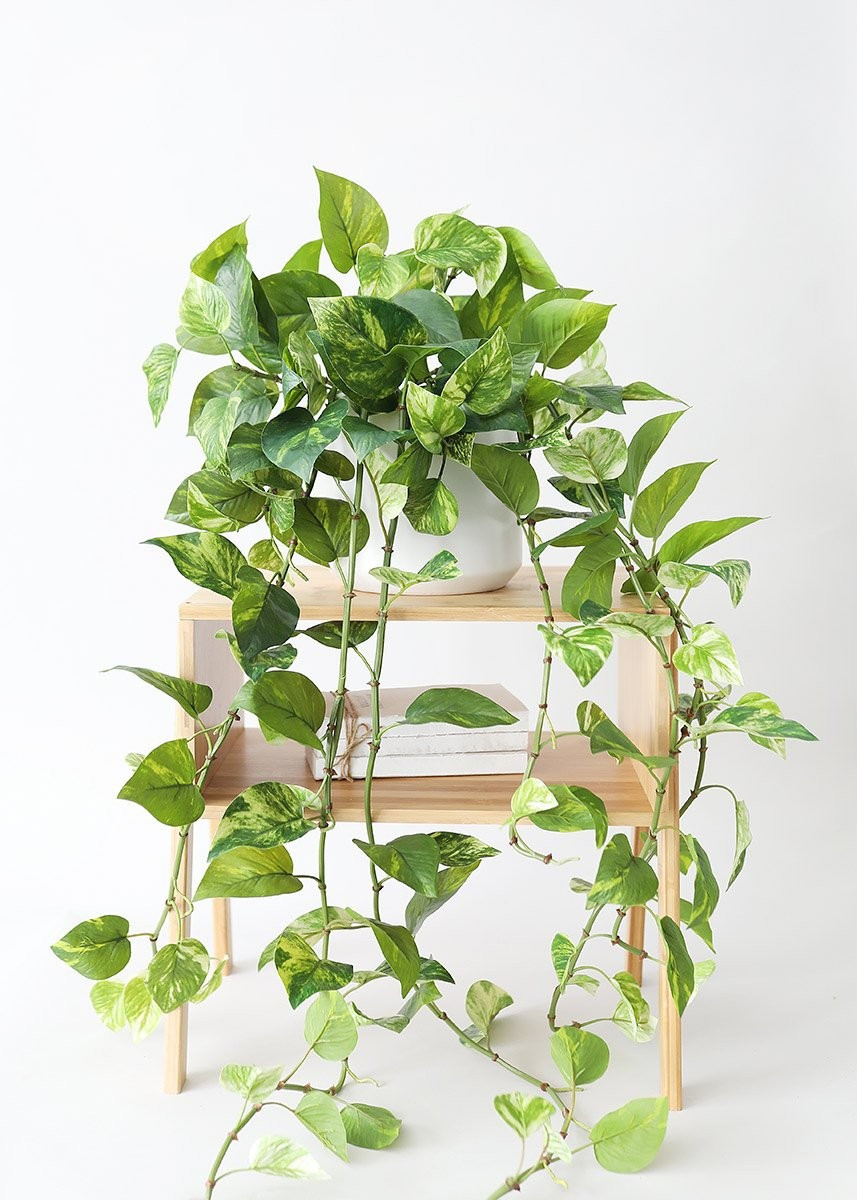 Natural Touch Pothos Hanging Artificial Plant - 48" | Afloral (US)