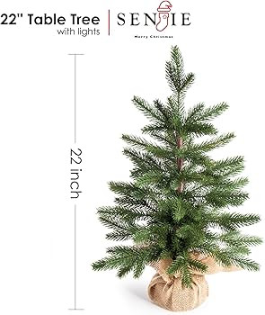 Visit the Senjie Store | Amazon (US)