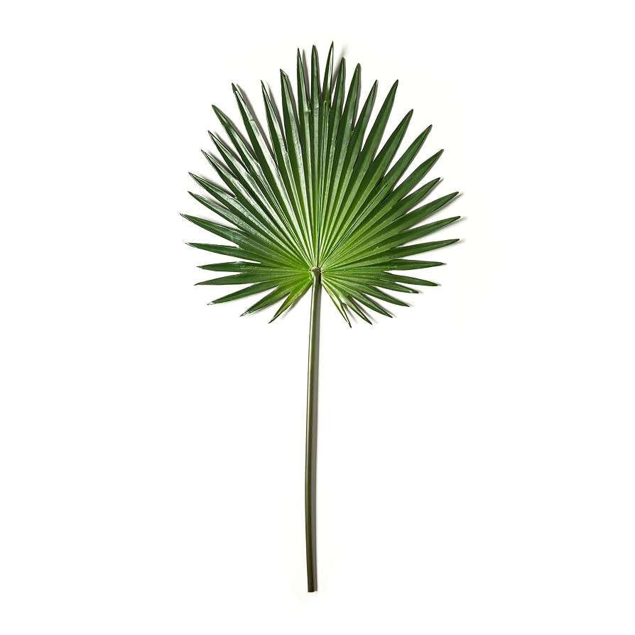 Artificial Fan Palm Leaf - 30" | Amazon (US)
