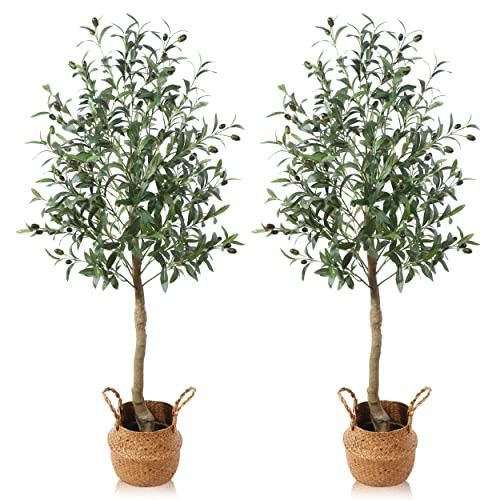 Ferrgoal Artificial Olive Trees 4Ft Fake Olive plant with Basket Faux Plants Indoor Outdoor Fake Tree in pot Slik Plants for Home Decor Office Living Room Perfect Housewarming Gift Green 2Pack | Amazon (US)