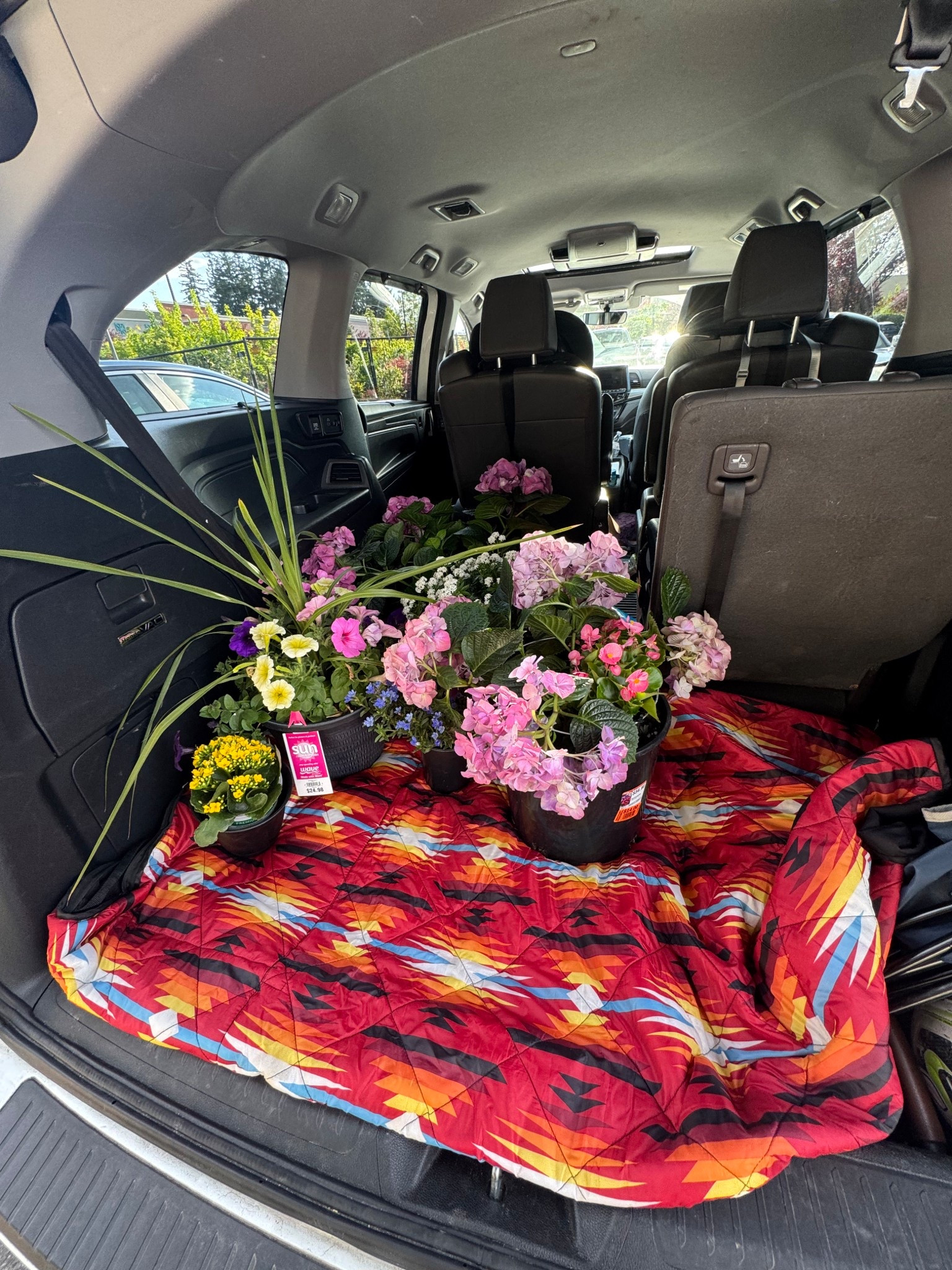 Waterproof picnic blanket 

#LTKHome #LTKSeasonal