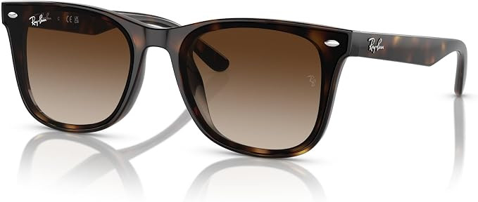 Ray-Ban RB4420 Square Sunglasses for Men for Women | Amazon (US)