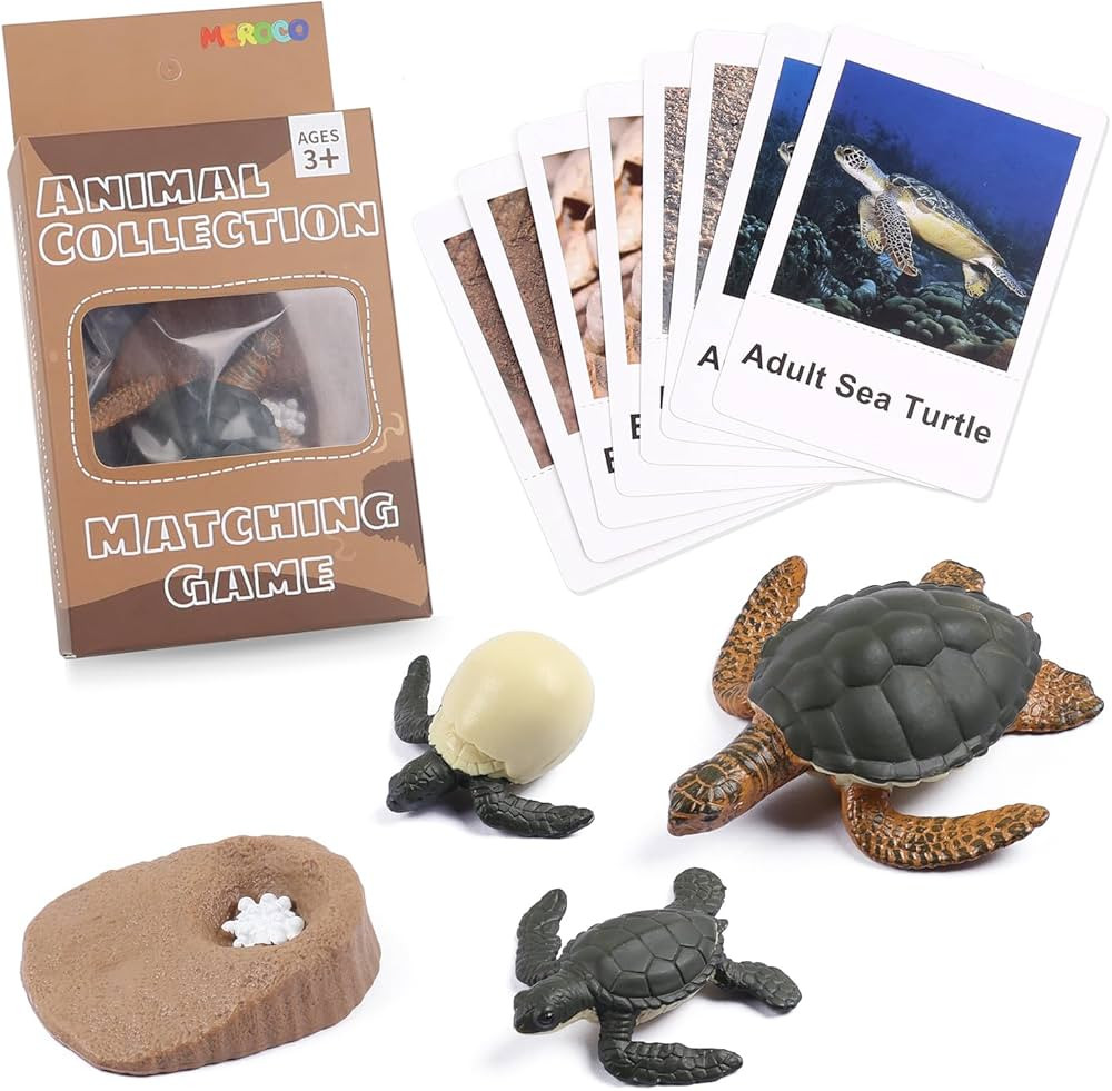 MEROCO Turtle Life Cycle for Kids Animal Flash Cards with Figurines for Toddler Science Toys for ... | Amazon (US)