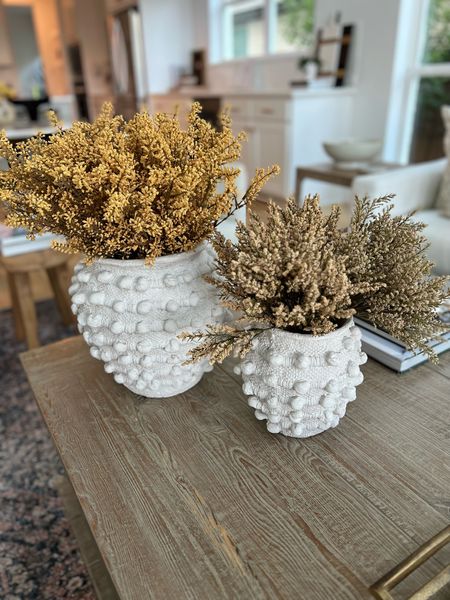 I have 3 in the small pot and 6 in the larger minka pot

Anthropology/ anthro home / textured vase / fall stems / affordable stems / fall decor/ fall home decor / coffee table decor

#LTKSeasonal #LTKhome #LTKstyletip