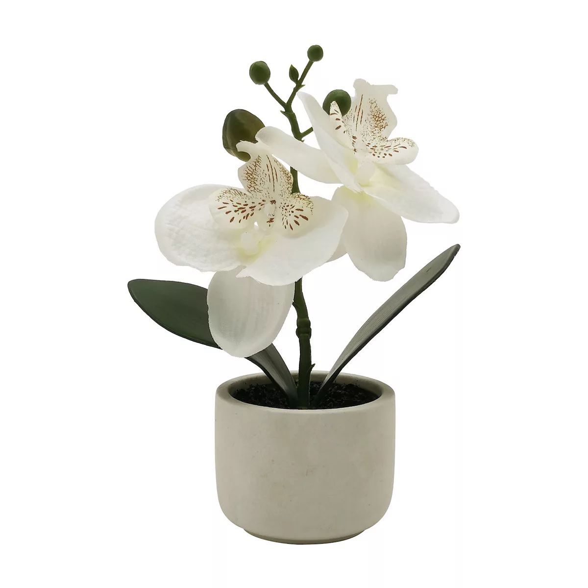 Sonoma Goods For Life® Potted Faux Orchid | Kohl's