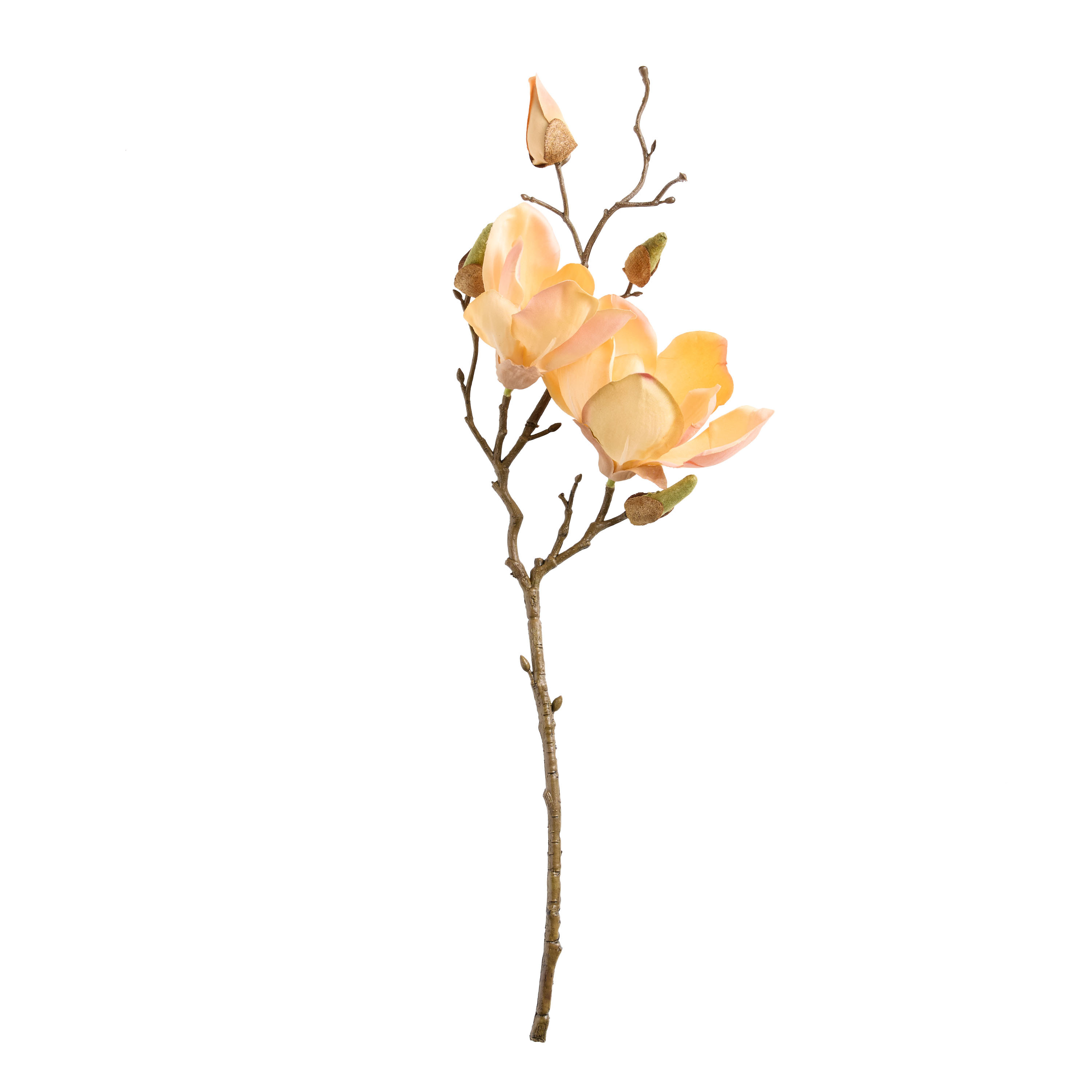 Apricot Faux Magnolia Spray | World Market
