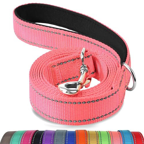 Joytale Double-Sided Reflective Dog Leash, 6 FT/5 FT/4 FT, Padded Handle Nylon Heavy Duty Leashes for Small & Medium Dogs Walking, Pink, 5FT | Amazon (US)