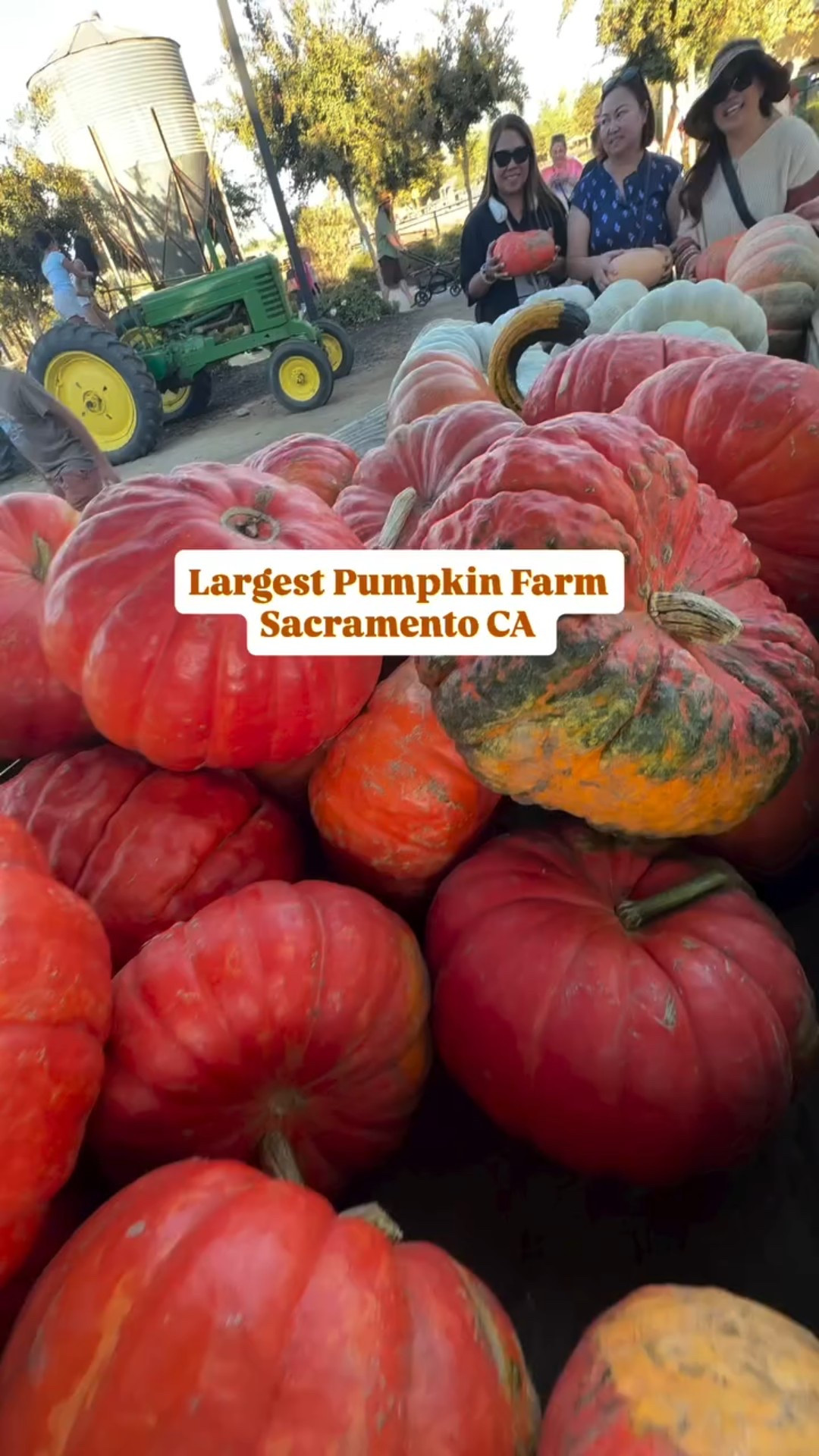 One of Sacramento’s biggest pumpkin patch farm is the @bishopspumpkinfarm1973

So many fun activities things to do here . Our family always had a blast . We always love to visit this place.

Located at

1415 PUMPKIN LANE
WHEATLAND, CA 95692

You don’t want to miss this place !

•
Have you visited a pumpkin patch farm yet?

•
#sacramentofarm #pumpkinpatch #bishopfarm #bestplacetovisit #sacramentomoms #halloweeniscoming

#LTKHalloween #LTKFallSale