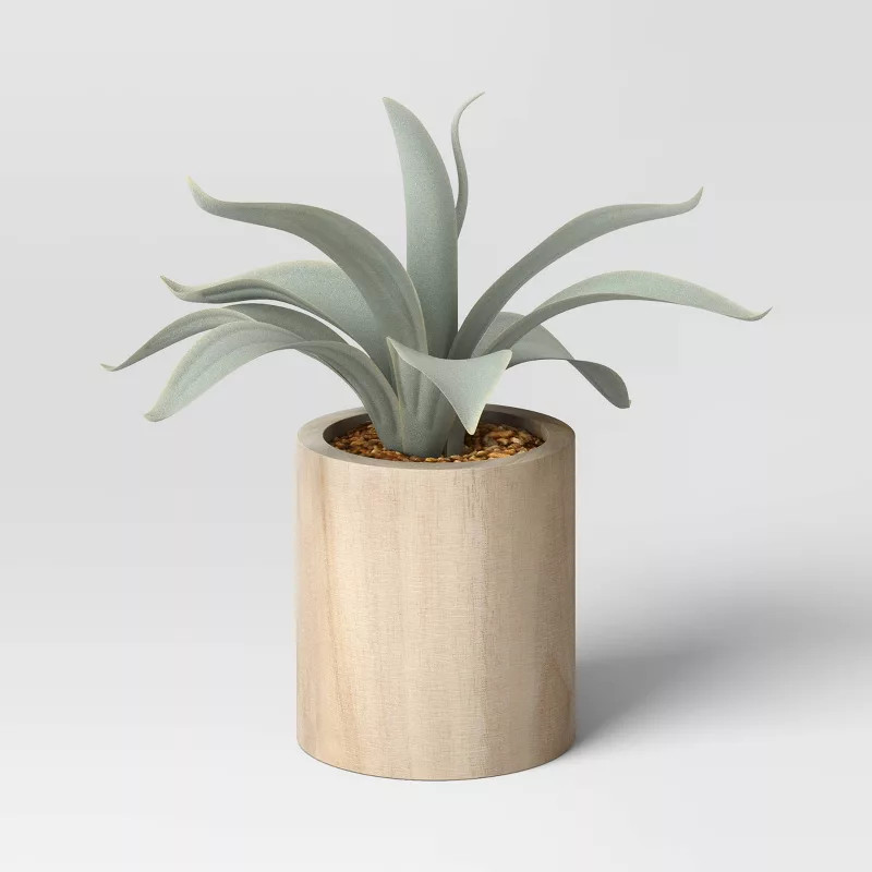 Aloe in Wood Pot - Threshold™ | Target