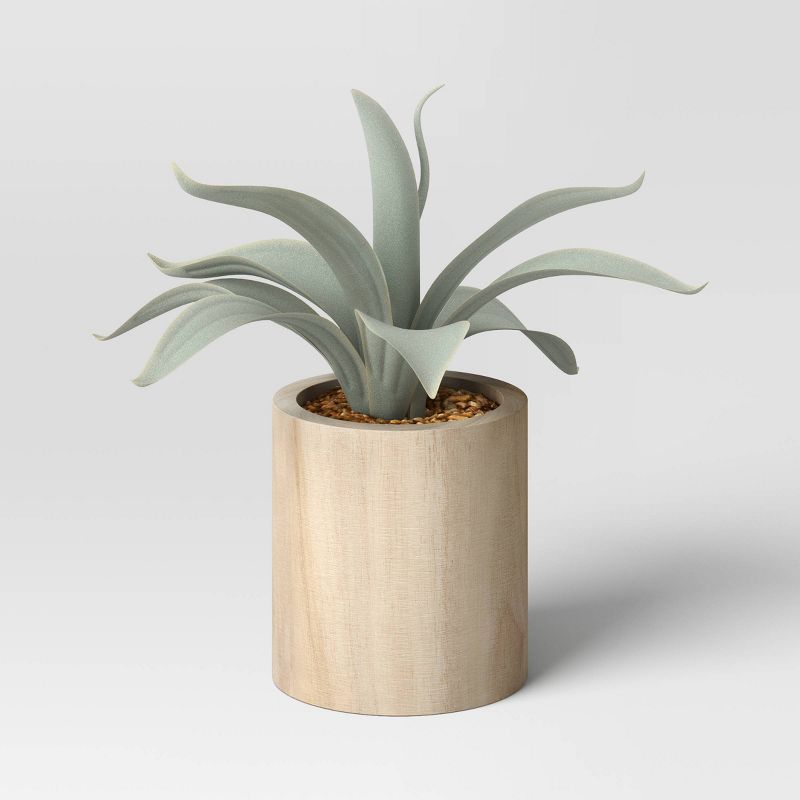 Aloe in Wood Pot - Threshold™ | Target
