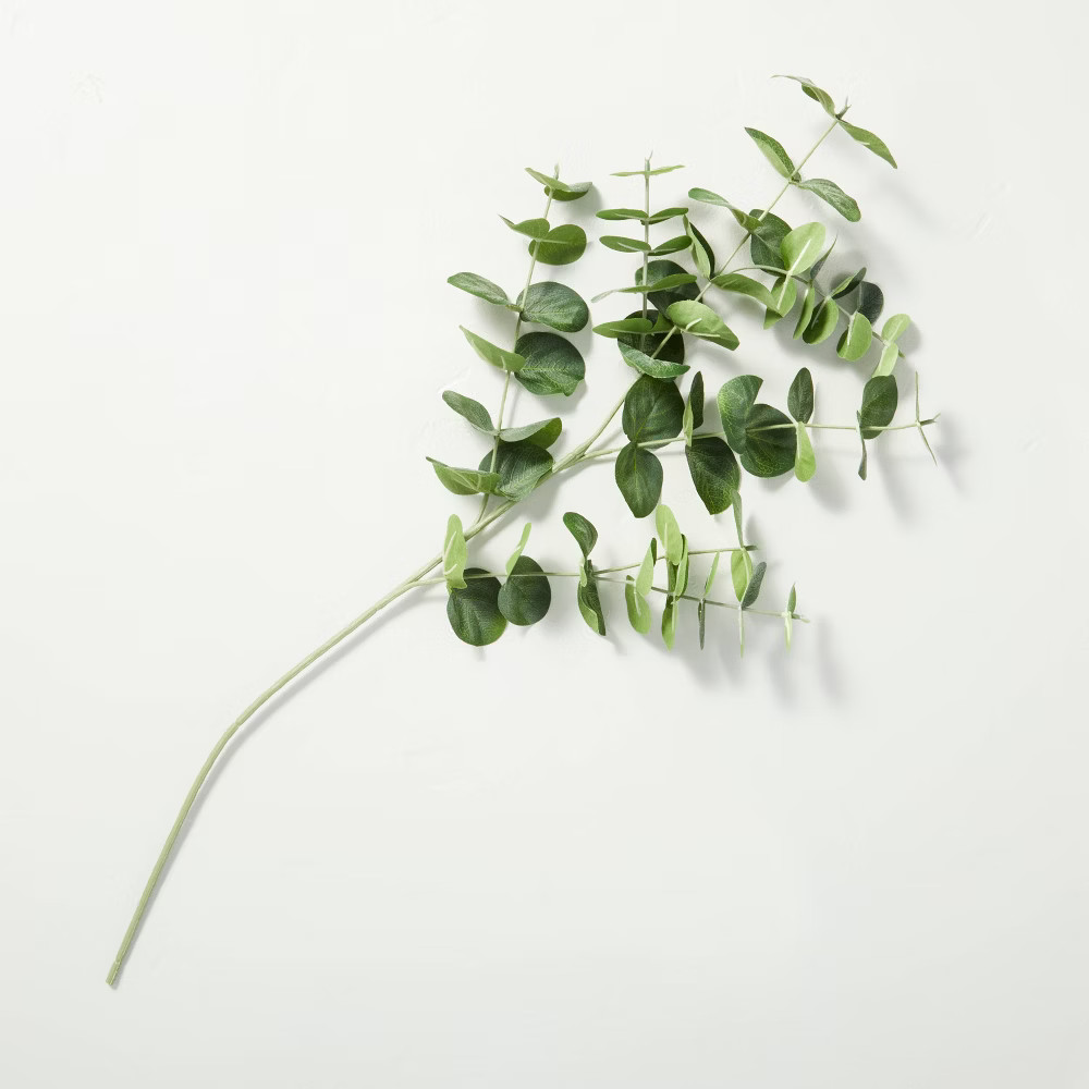 28"" Faux Silver Dollar Eucalyptus Stem - Hearth & Hand with Magnolia | Target