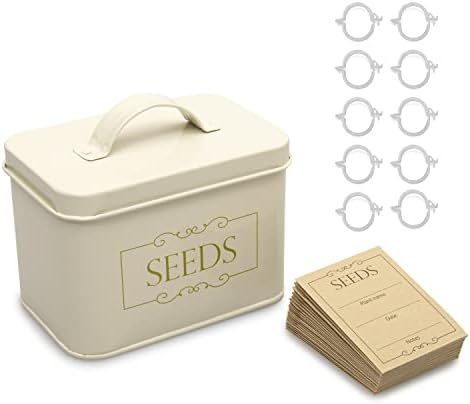 GEBRENT Seed Storage Box - Cream Powder Coated Galvanized Steel Container with Lid - Complete wit... | Amazon (US)