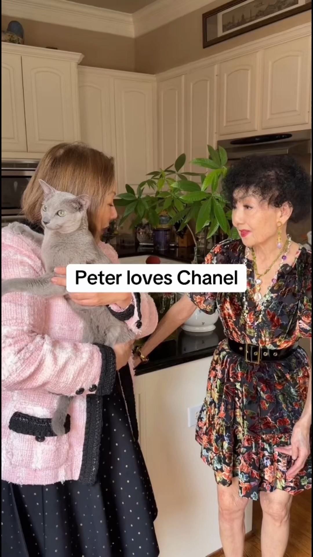 Our cat, Peter loves Chanel. My mom, Joanne’s dress is from Anthropologie and is tagged below -a great deal at $35 dollars 

#LTKSaleAlert #LTKmomlife #LTKootd