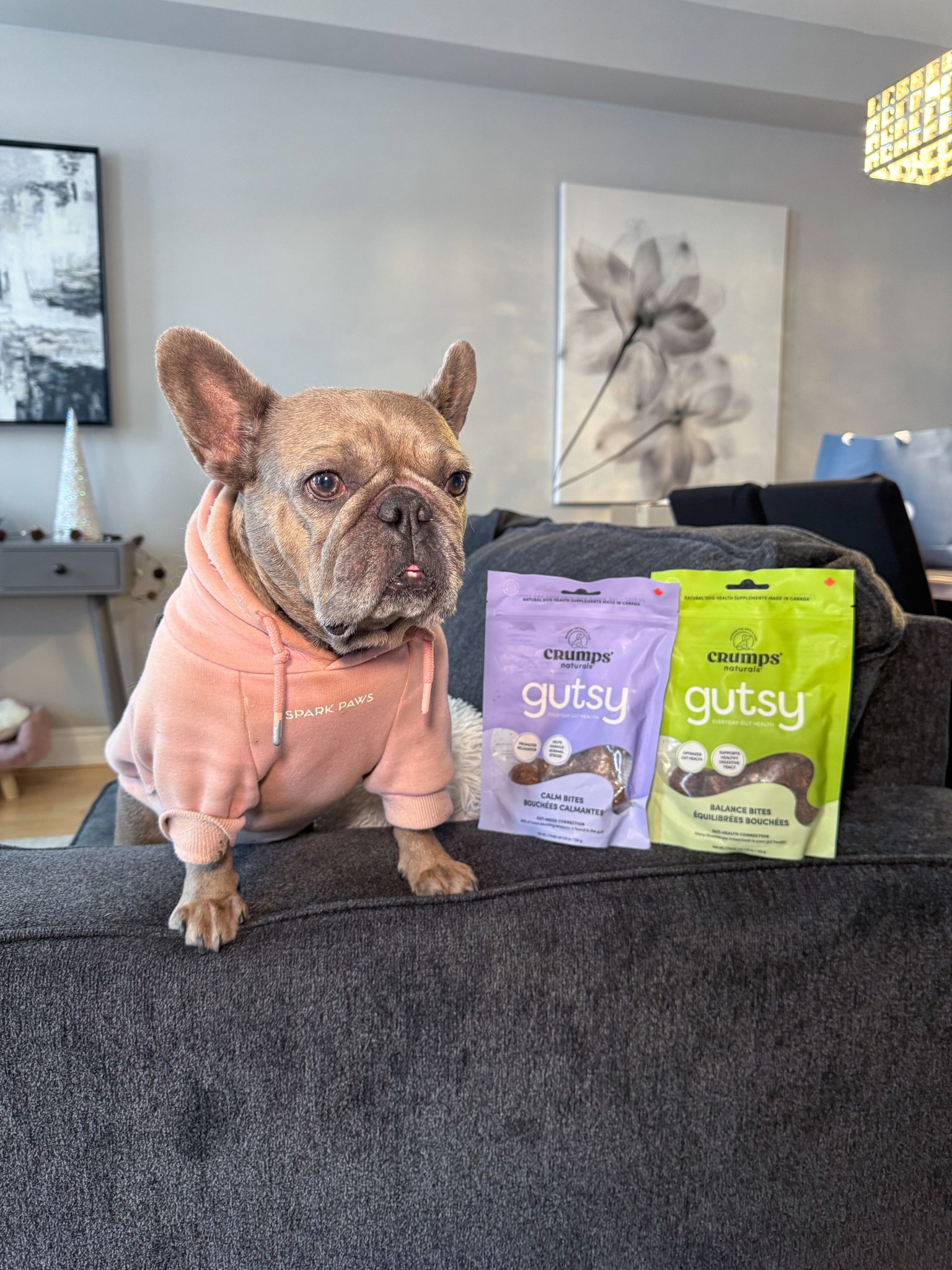 My dogs favourite bites to promote gut health and wellness  packed with probiotics 🤍🫧

#LTKFindsUnder50 #LTKSeasonal #LTKfoodie