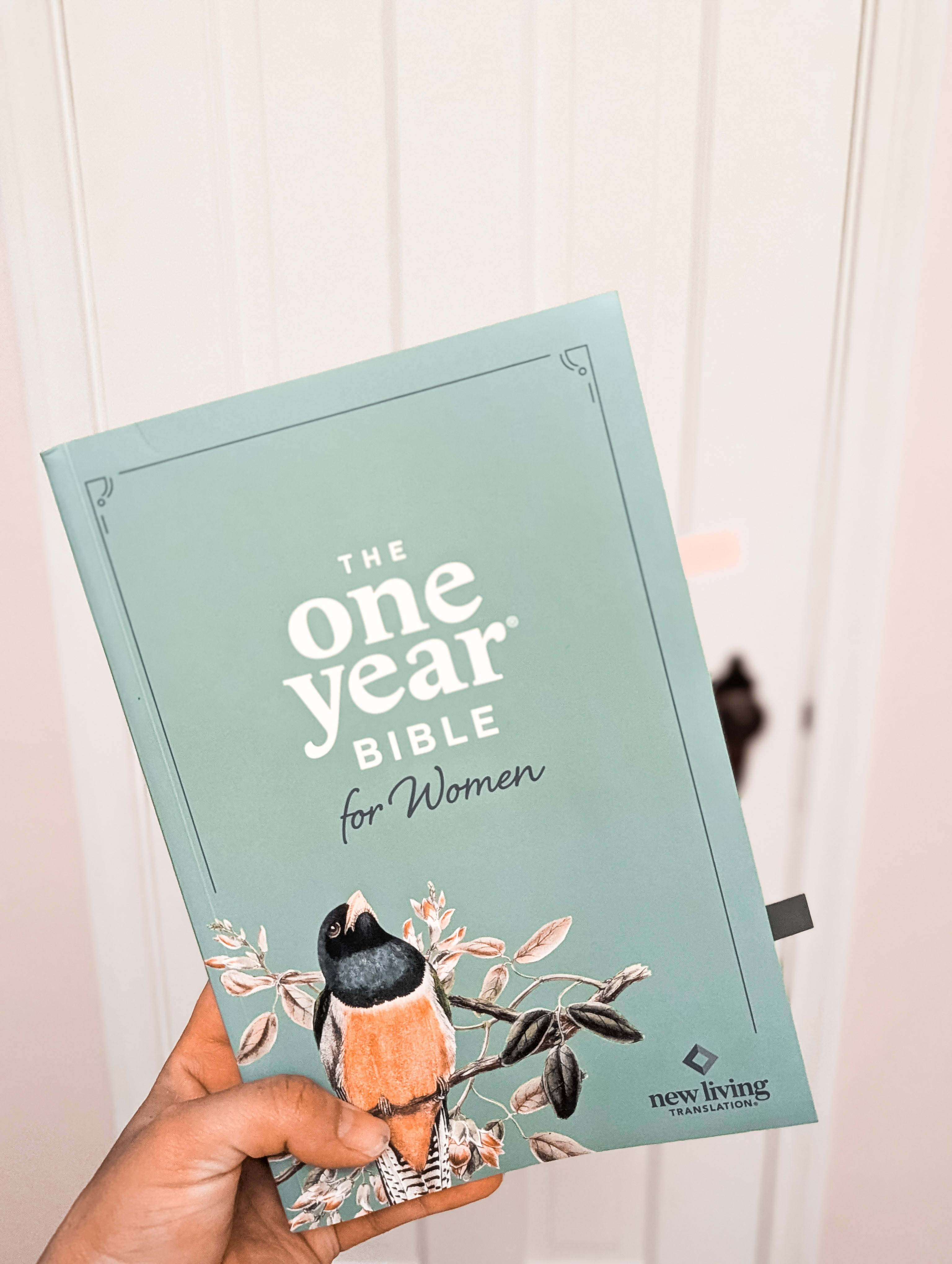 Wonderful gift idea! 

#LTKmorningroutine #LTKmomlife #LTKGiftGuide