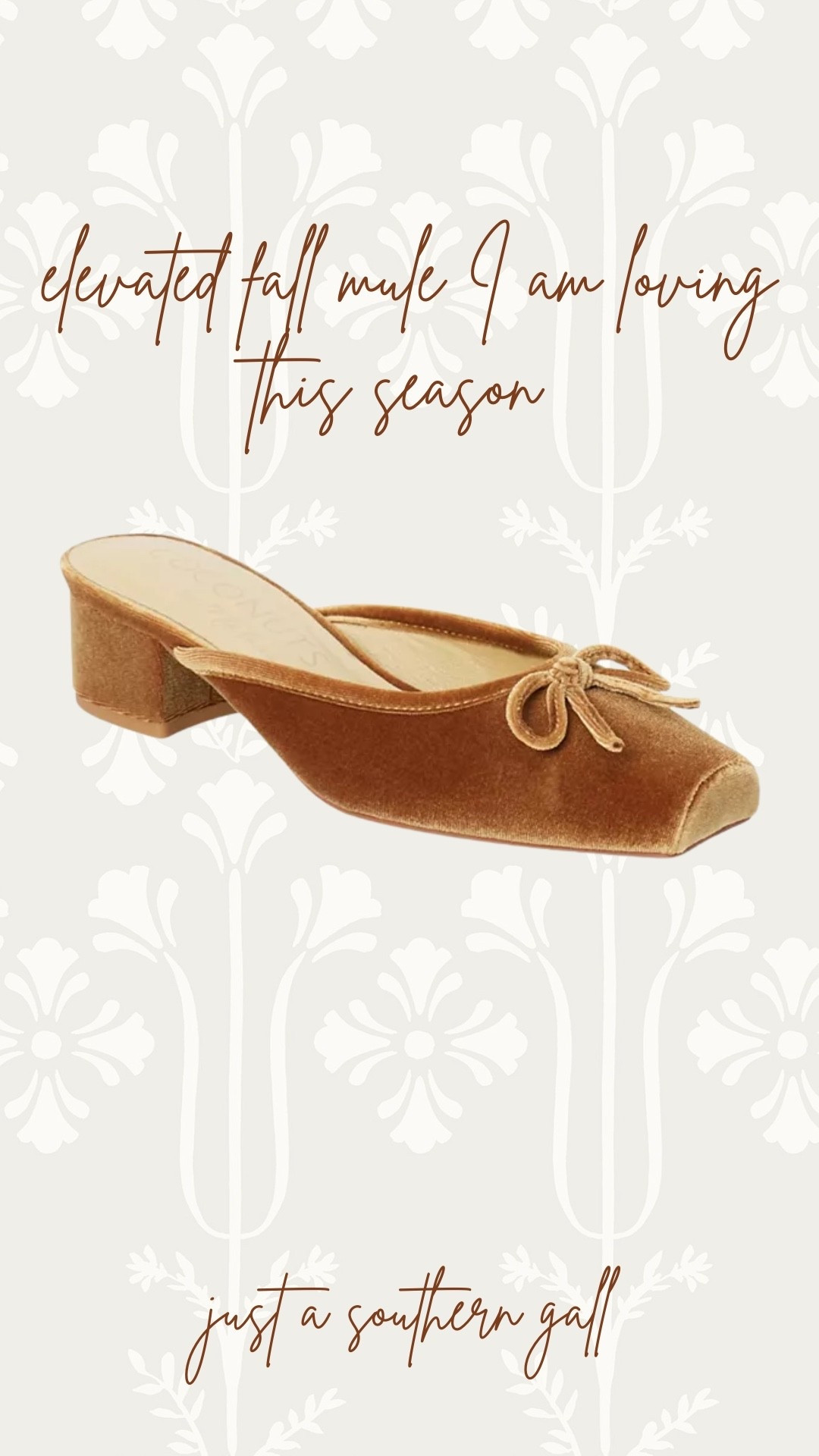 Fall feels with this velvet mule
