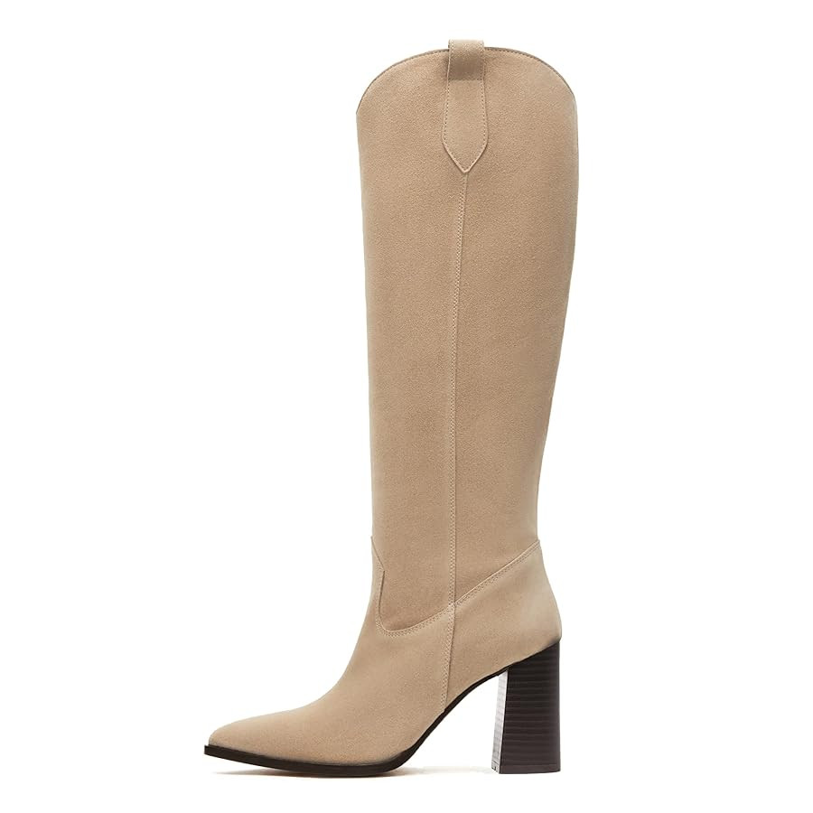 MeiLuSi Knee High Suede Boots Fall Boots for Women 2025 Pointed Toe Fall Shoes Chunky High Heel T... | Amazon (US)