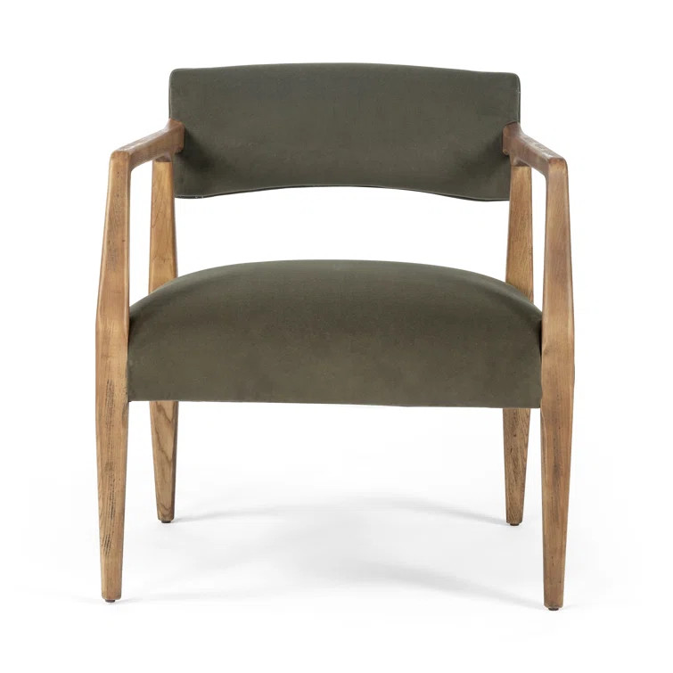 Berthe Velvet Armchair | Wayfair North America