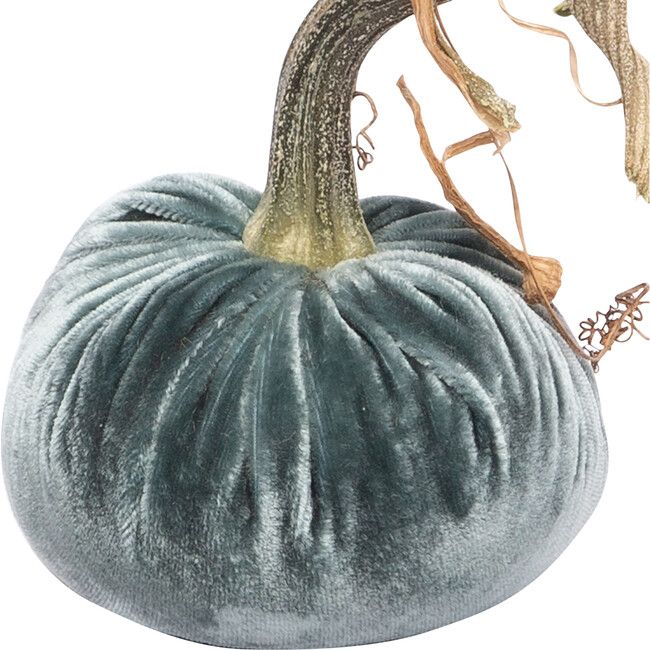 Pumpkin, Wedgewood | Maisonette