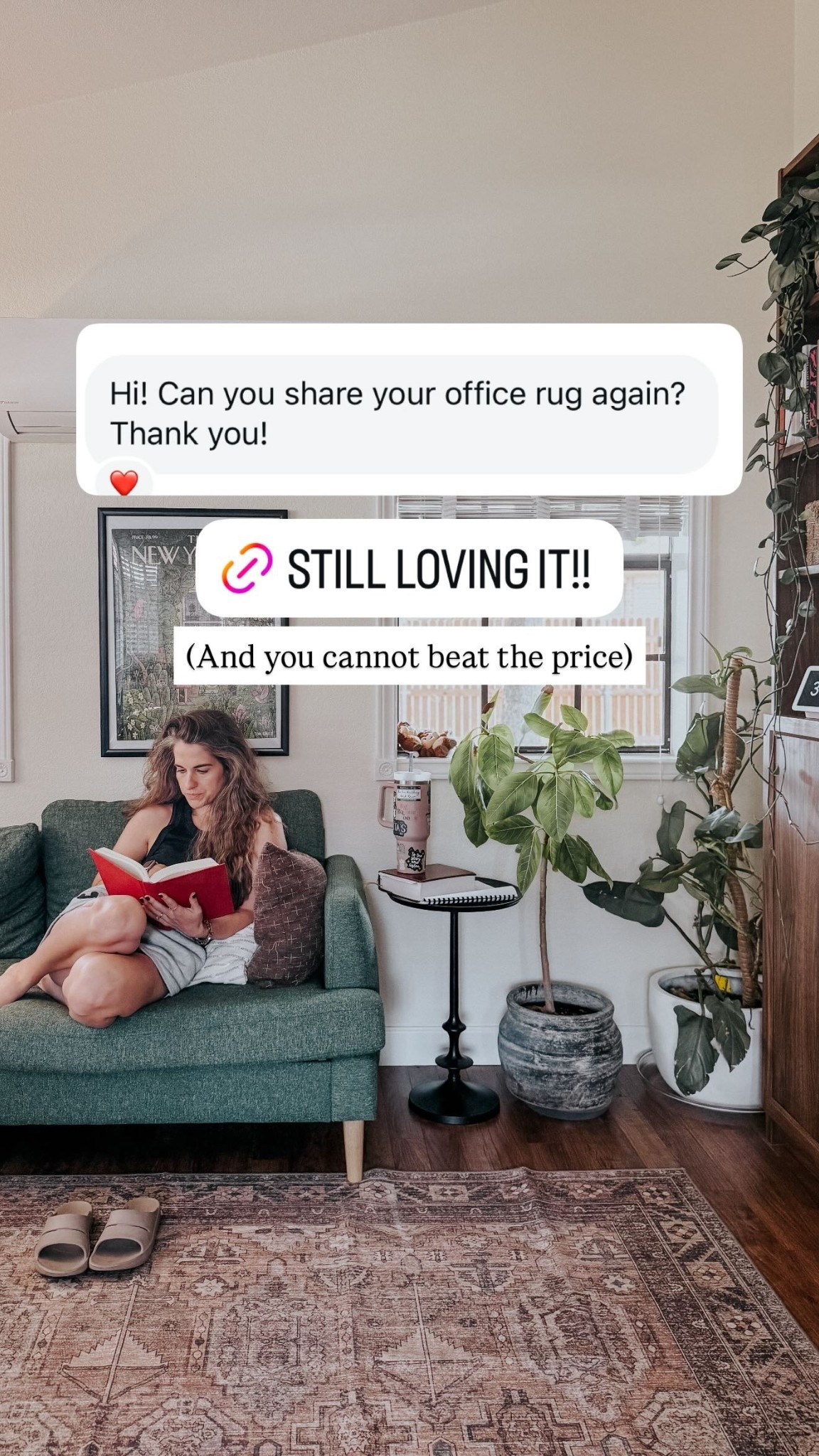 (And you cannot beat the price)