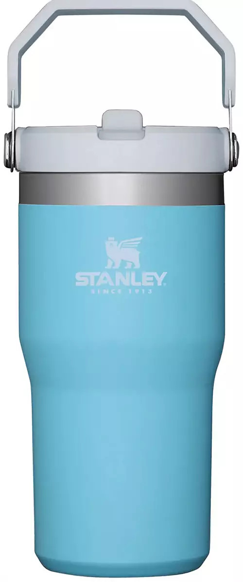 Stanley 20 Oz. IceFlow Tumbler with Flip Straw | Dick's Sporting Goods