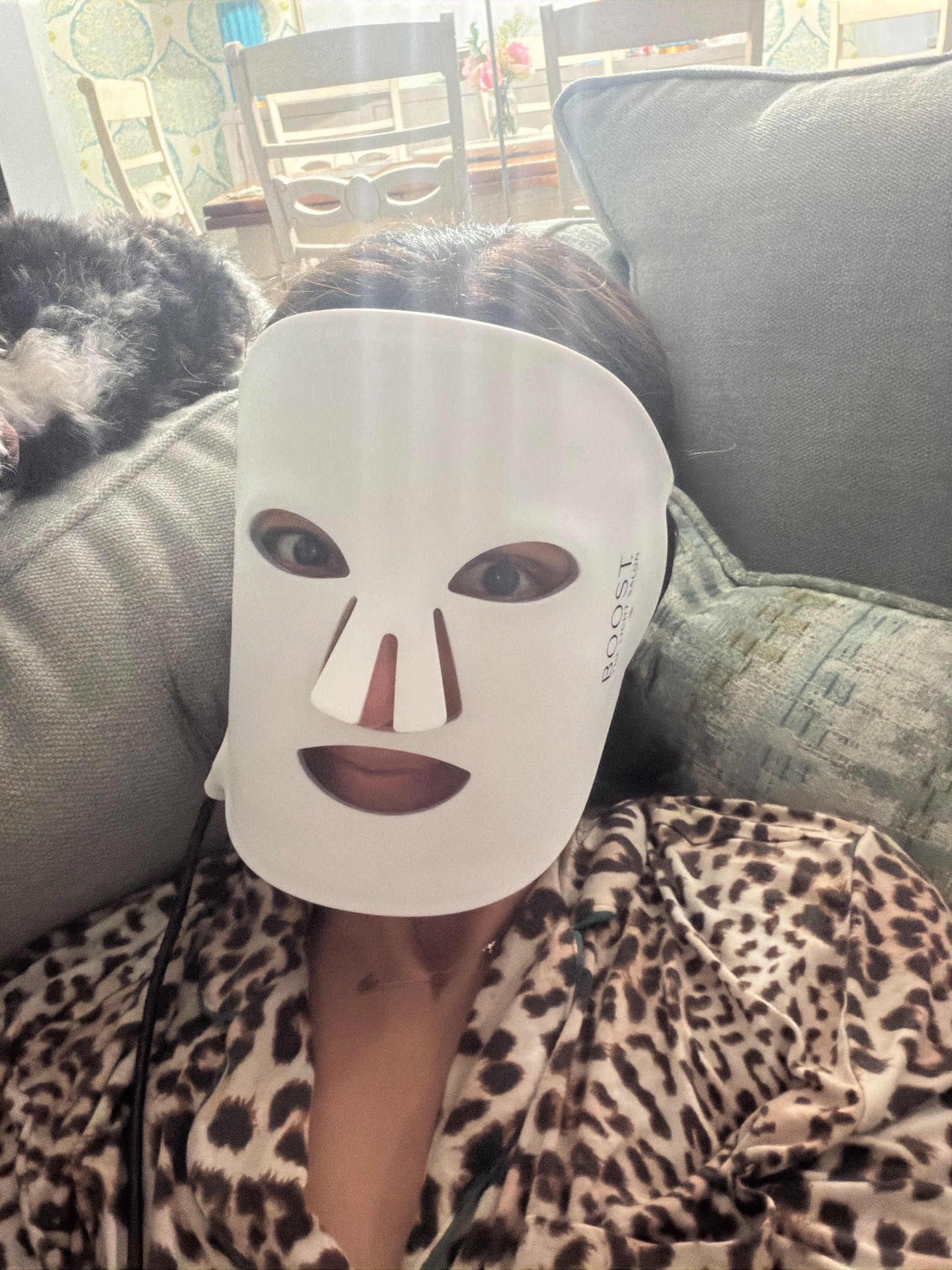 This red light mask has literally changed the texture of my skin. I wear it every other night for 10 minutes and it’s worth every single penny. They also have the BEST customer service and warranty.

#LTKOver40 #LTKselfcare #LTKdayinmylife