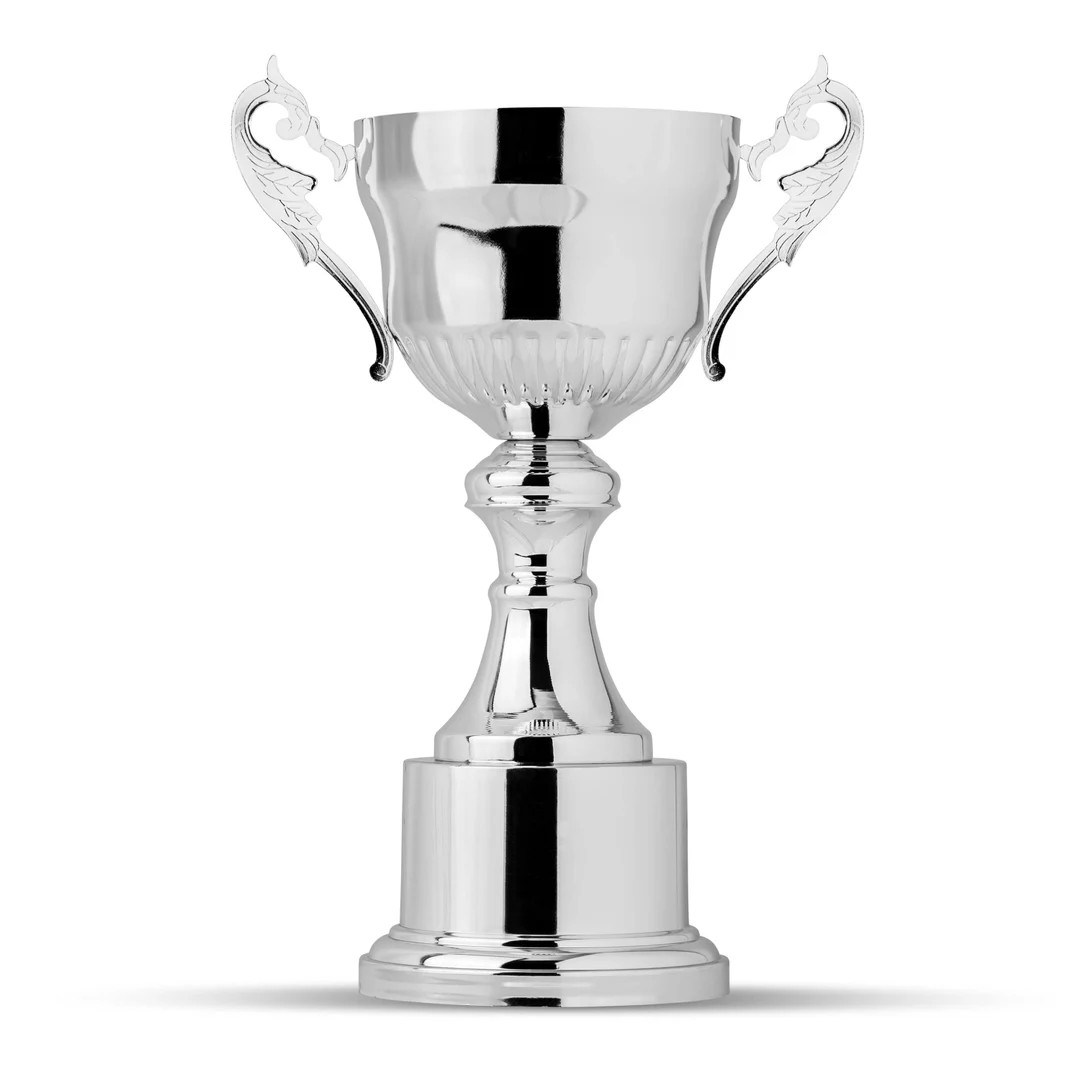 Silver Cup Topper Trophy, Fantasy Football Trophy, Fantasy Football, Perpetual Trophy, Football T... | Etsy (US)