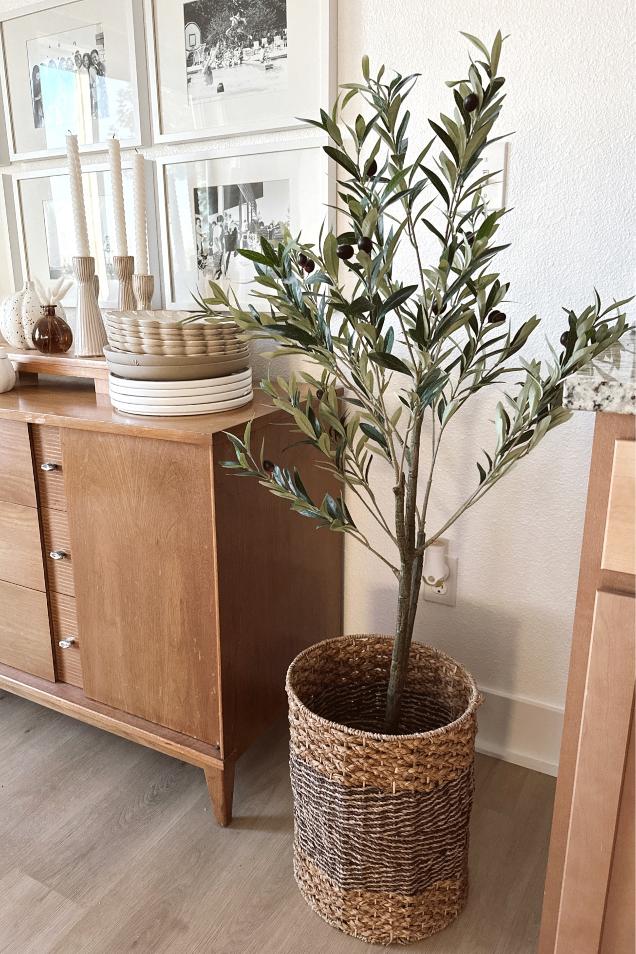 4’ olive tree from Home Depot!  Dining area home decor 

#LTKhome #LTKfindsunder100