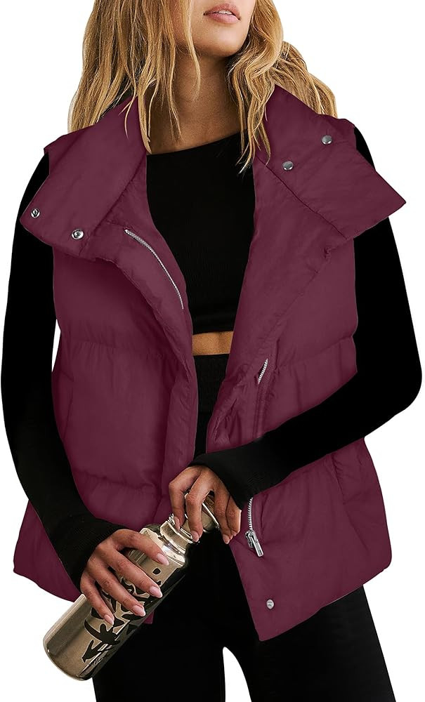 ANRABESS Women Puffer Vest Sleeveless Zip Up Stand Collar Quilted Lightweight Jacket Winter Warm ... | Amazon (US)