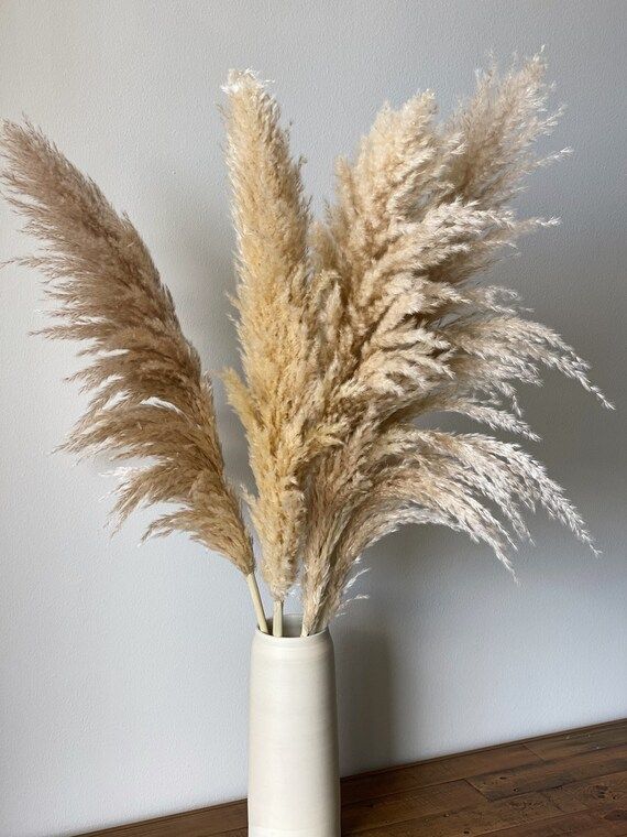 PAMPAS GRASS 4 Pcs the Fluffiest Dried Natural Large | Etsy | Etsy (US)