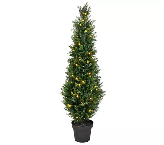 Vickerman 4' Artificial Potted Green Cedar Tree , Pre-lit | QVC