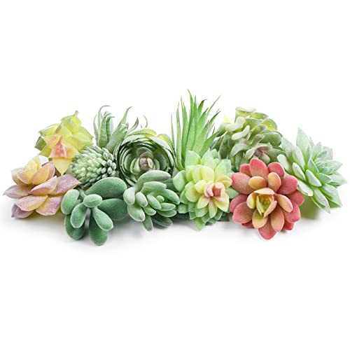 HappyHapi 12 Pcs Artificial Succulents Mini Fake Plants Unpotted Faux Succulent for Craft, Small Plastic Succulents Assortment in Flocked Green Floral Decor for Party, Cake, Garden & Outdoor | Amazon (US)