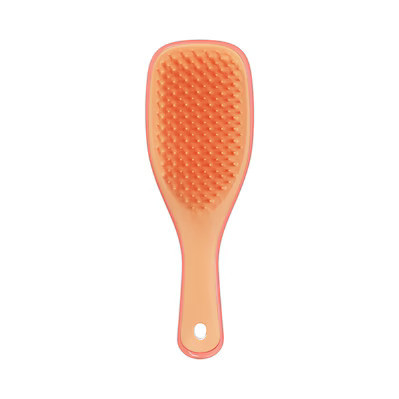 Salmon Pink Apricot - Mini | Douglas (DE)
