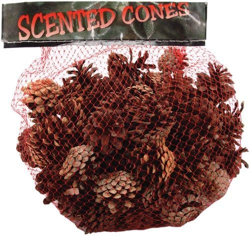 Winter Woods Cinnamon Scented Pine Cones Small Mix 1 Lb/Pkg-Natural | Amazon (US)
