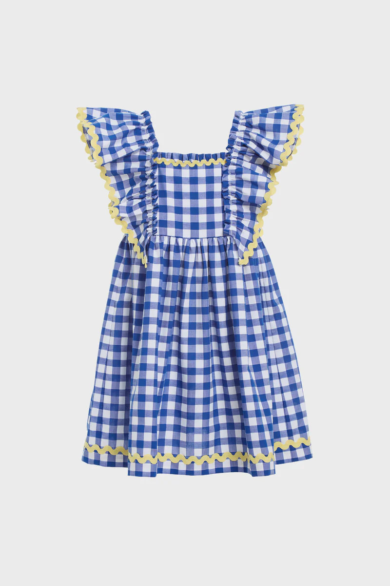 Blue Neci Gingham Flutter Sleeve Dress | Tuckernuck (US)