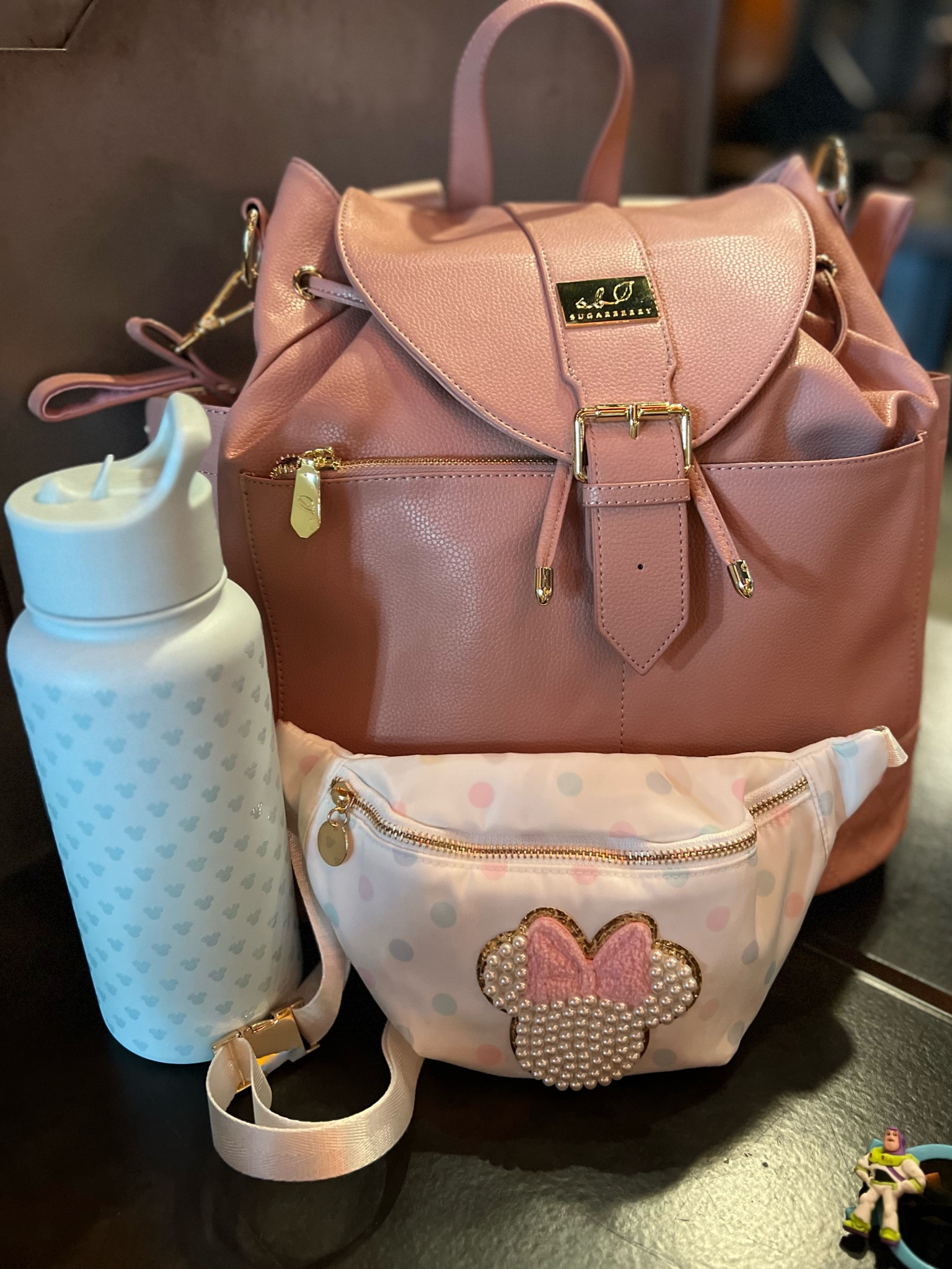 Disney essentials 💖✨

#LTKtravel #LTKbaby #LTKfamily