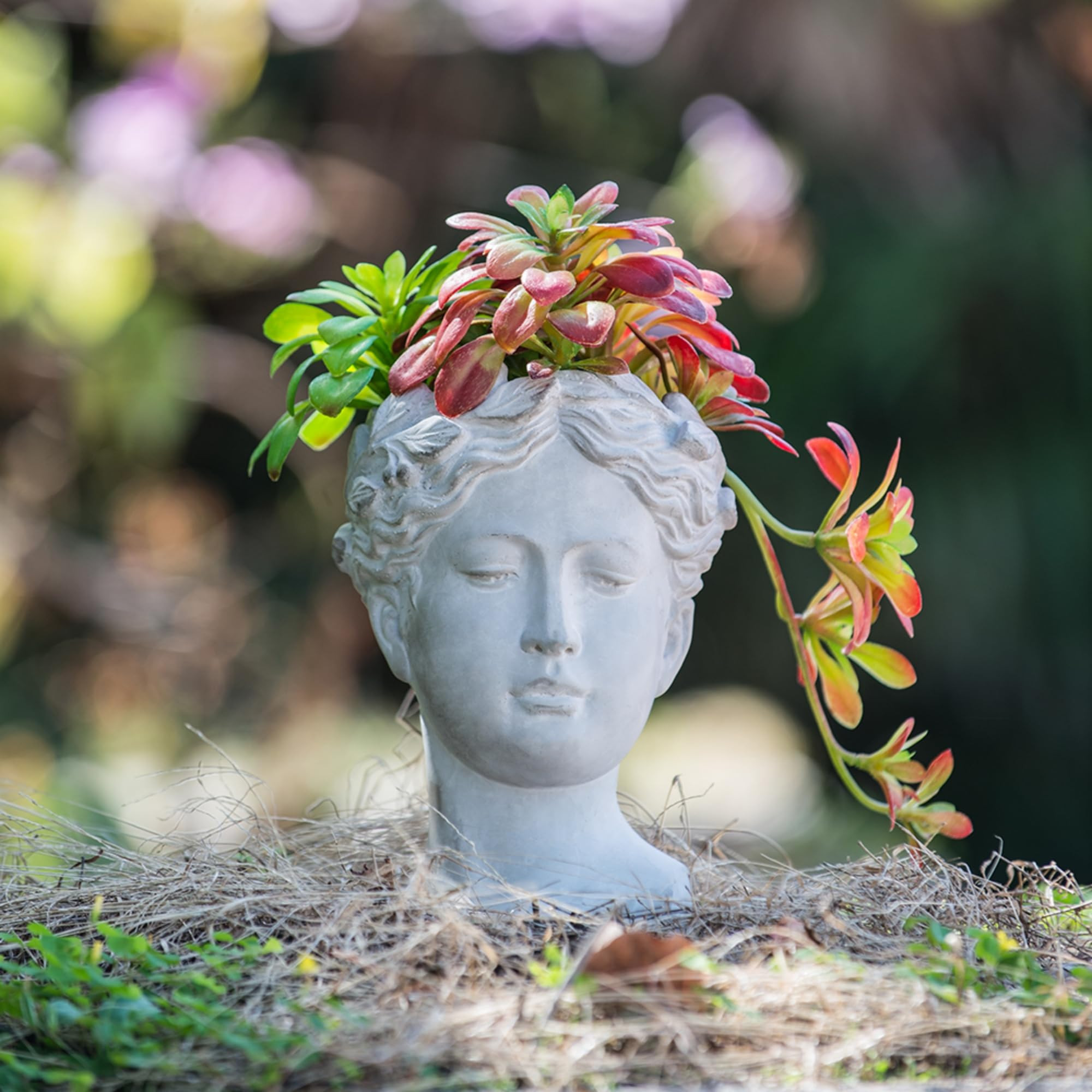 Female Statue Head Cement Planter, Greek/Roman Style Creative Portrait Cement Flower Pot, Unique ... | Amazon (US)