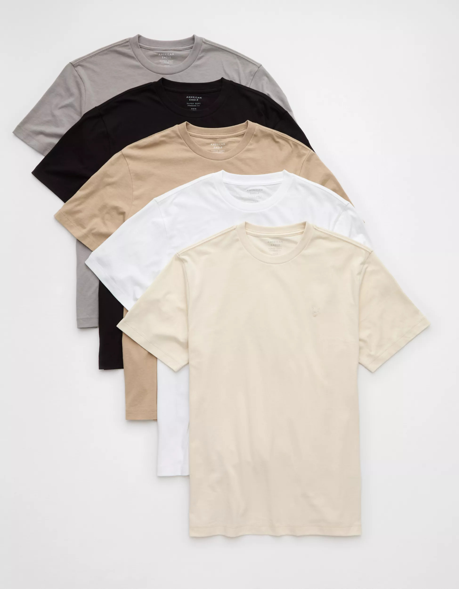 AE Lived-In T-Shirt 5-Pack | American Eagle Outfitters (US & CA)